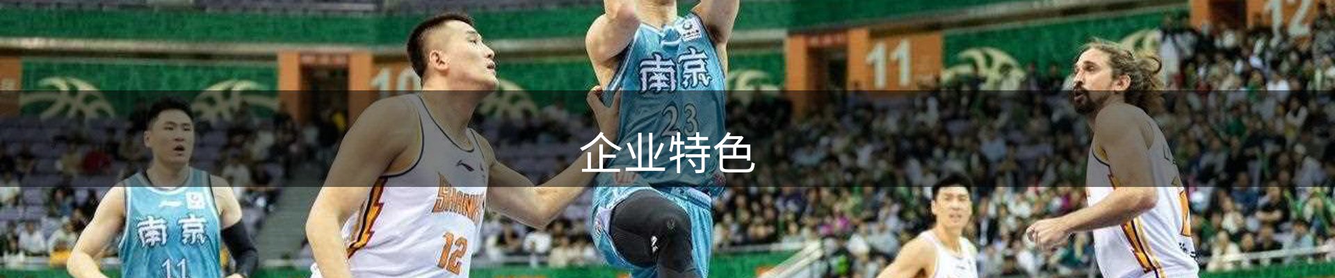 企业特色